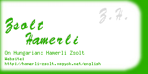 zsolt hamerli business card